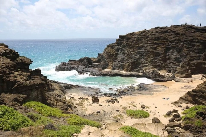Image 12