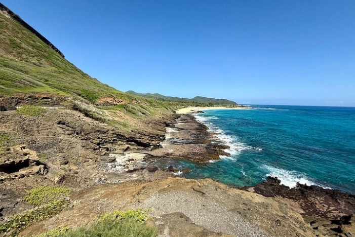 Image 17