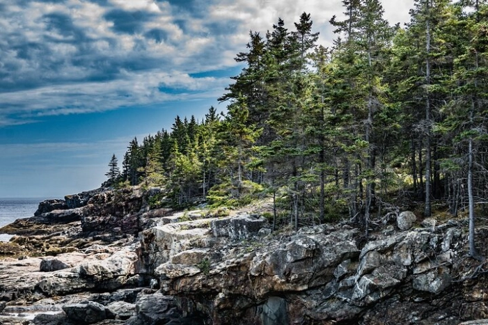 Image 15