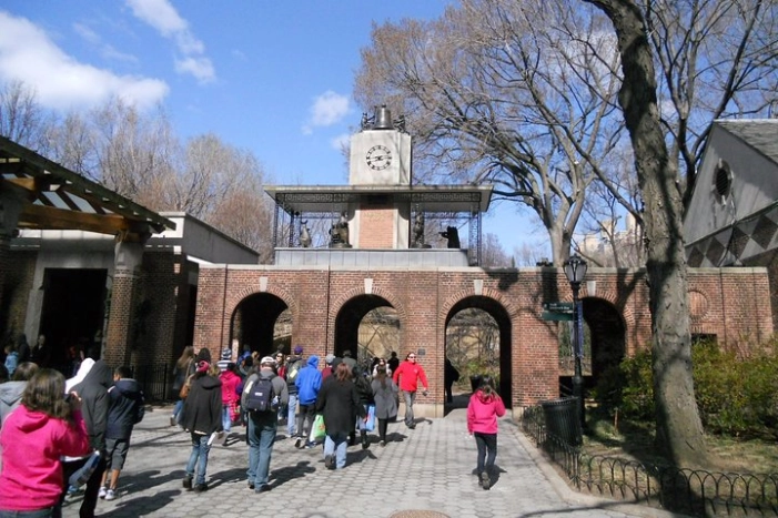 Image 6