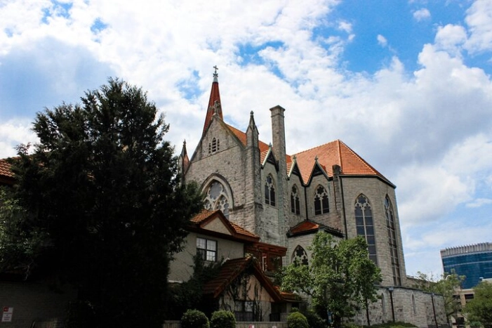 Image 8