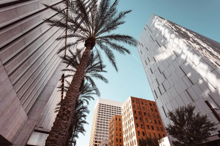 Phoenix : Private Customize Walking Tour With A Guide (Private)