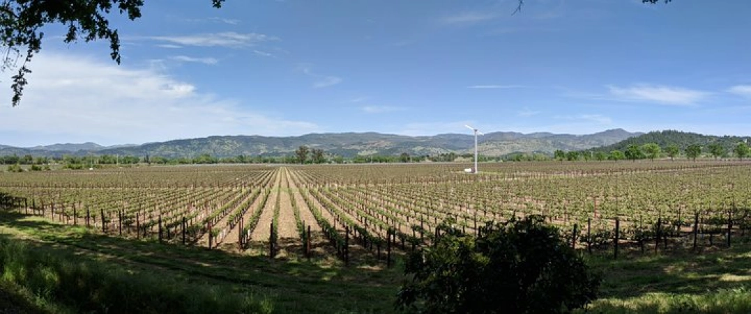 Image 6