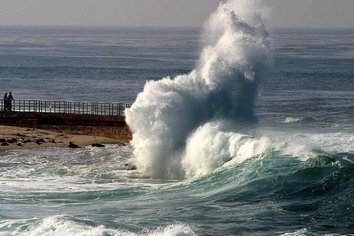 A Local’s Guide to La Jolla’s Sights: A Self-Guided Urban Stroll