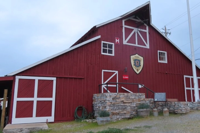 Image 7