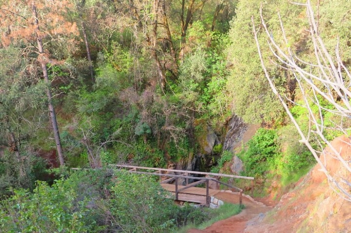 Image 13