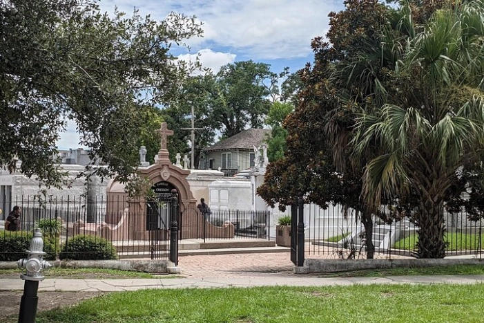 Image 6