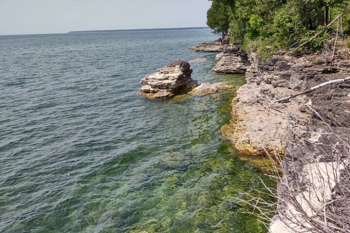 Image 4