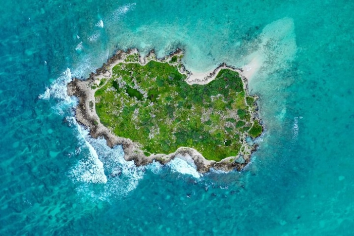 Image 6