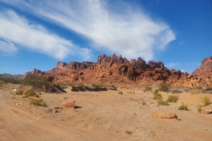 Image 12
