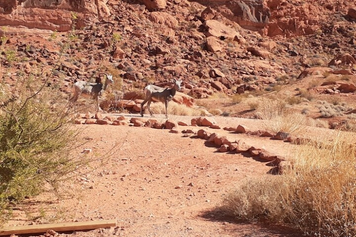Image 14