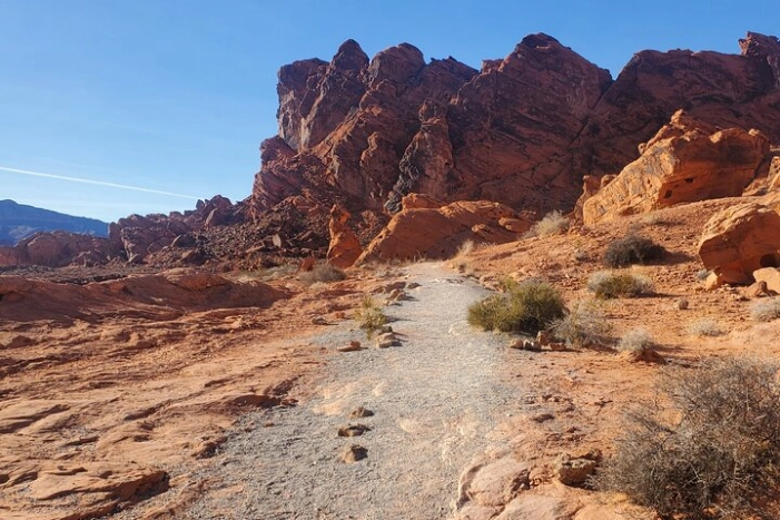 Image 15