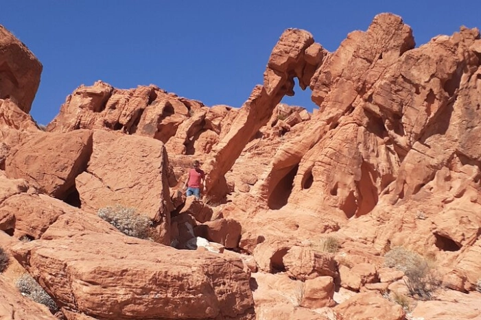 Image 4