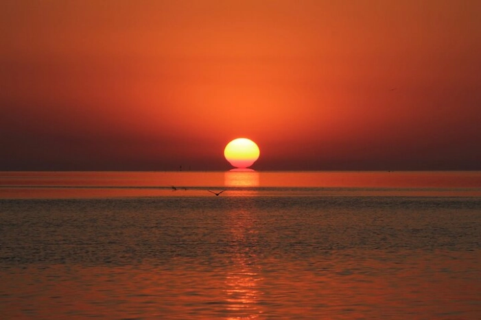 2 Hour Sunset Eco-Cruise