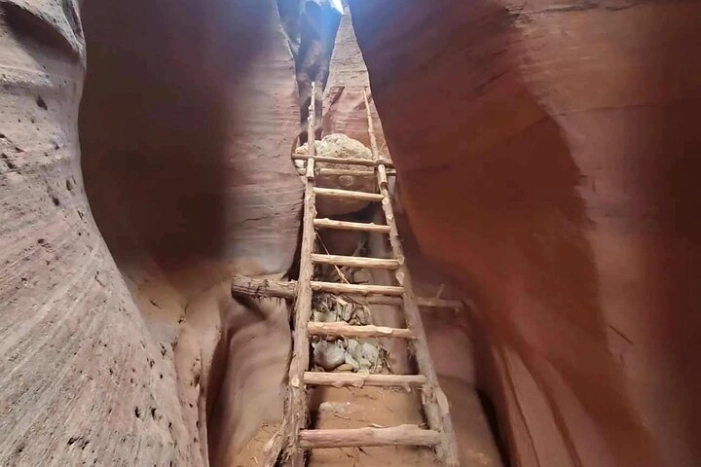 Image 15
