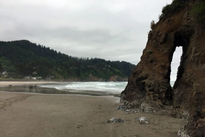 Image 12