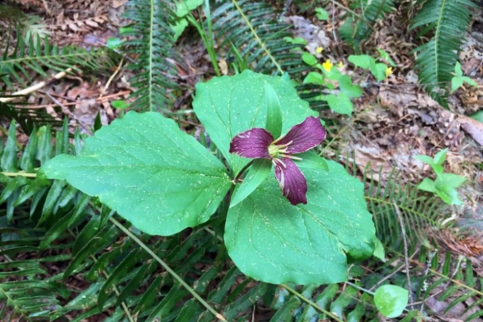 Image 14