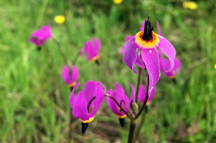 Image 23