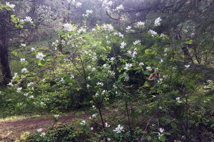 Image 28