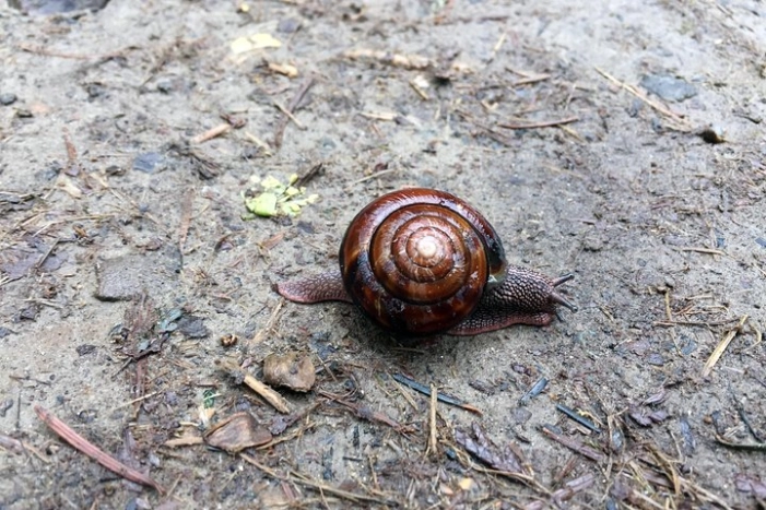 Image 15