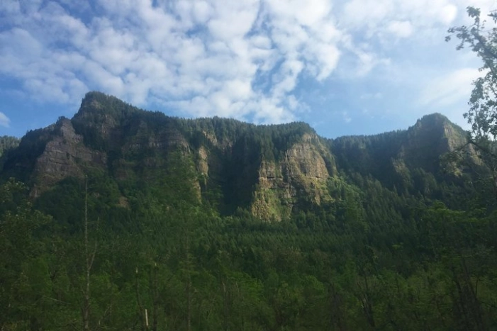 Image 31