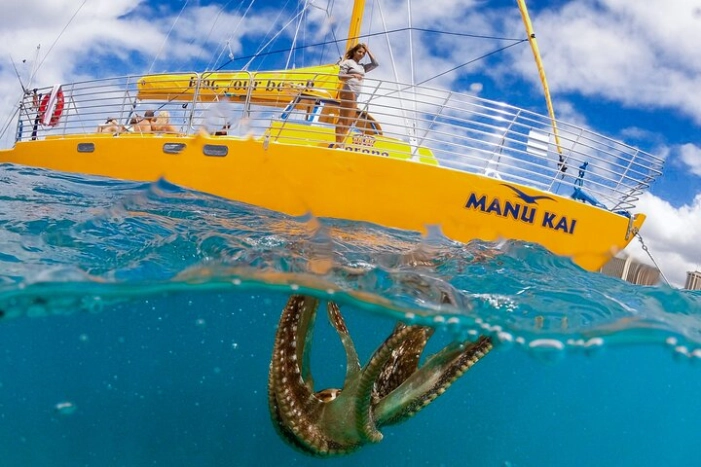 Private Swim and Sail Charter (Kewalo Harbor)
