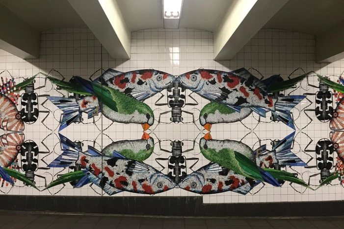 Image 2