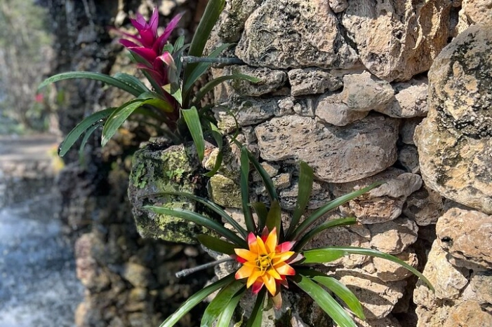 Image 14