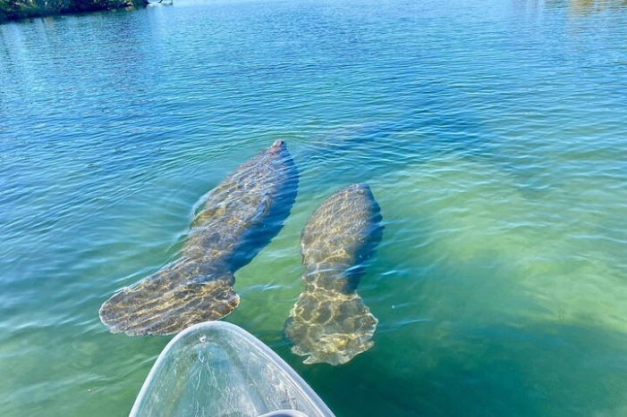 Image 9