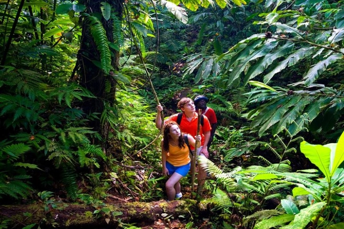 Private Waterfall, Rainforest, Chocolate Tour, Historical Sites 
