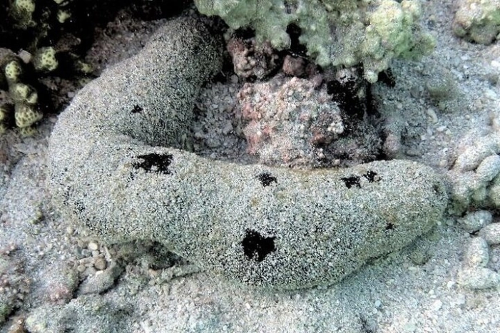 Image 9