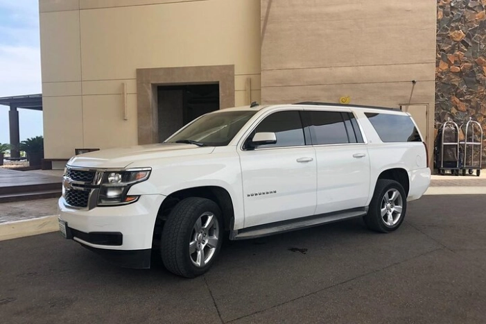 Tampa Bay Cruise Port to Tampa Hotels - Round-Trip Private Transfer