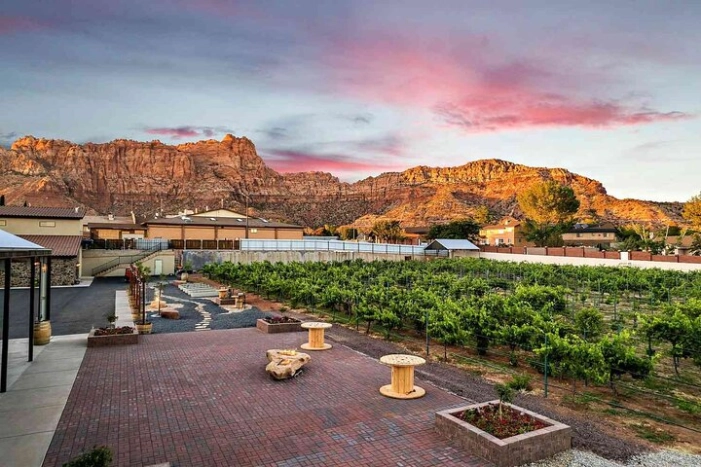 Greater Zion: UTV Ride and Wine Tasting Tour