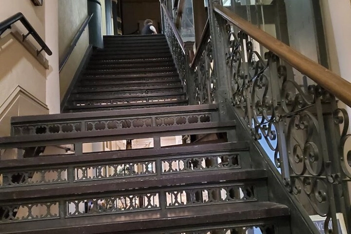 Image 7