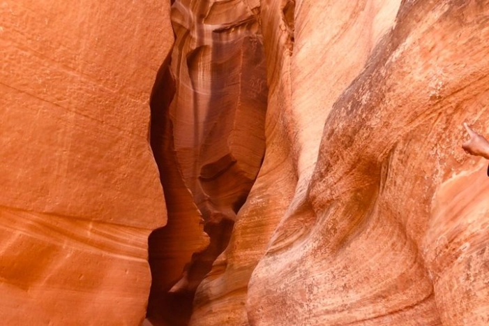 Image 9
