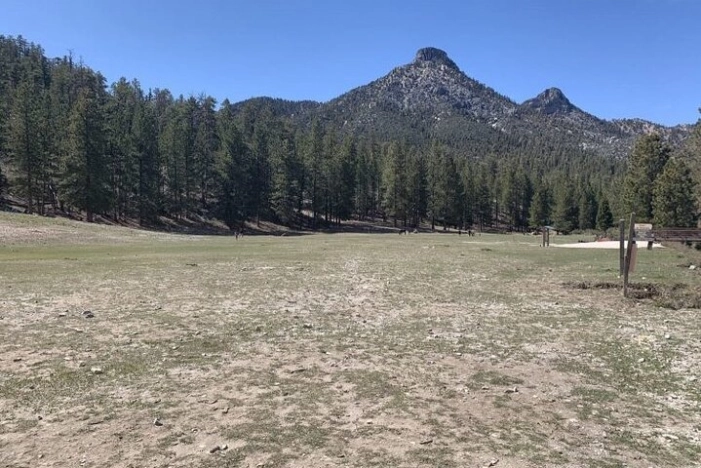 Image 31