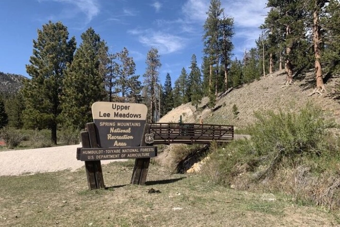 Image 33