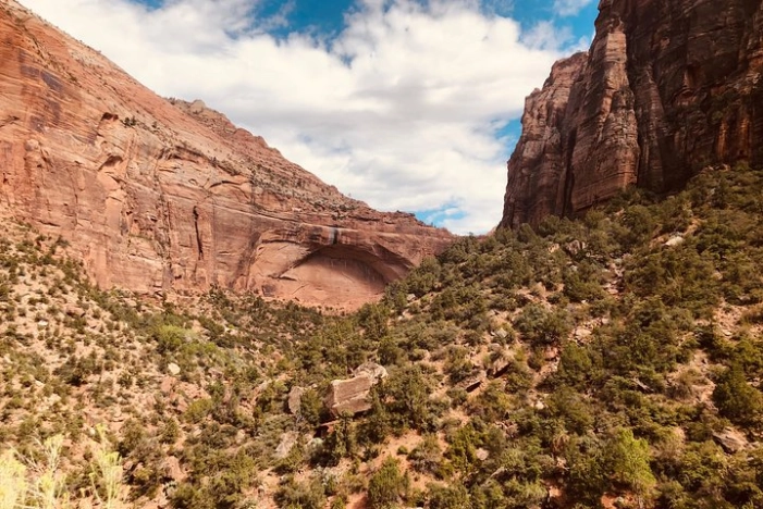 Image 6