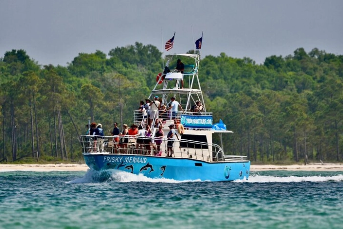 Frisky Mermaid Public Dolphin + Sightseeing Cruise Up to 49 Pax