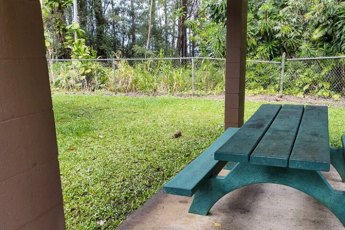 Image 18