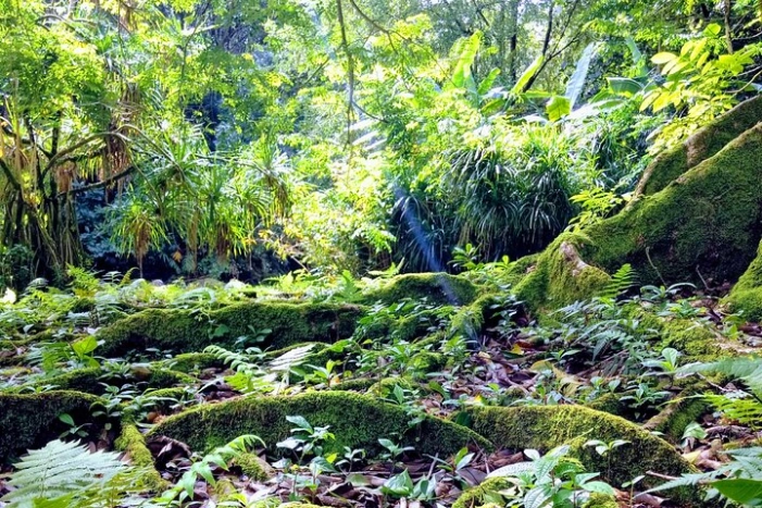 Image 10