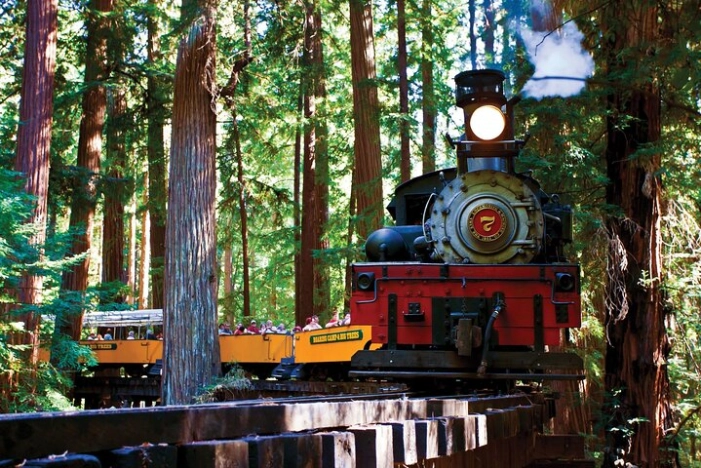 Redwood Forest, Santa Cruz Harbor 1-Day Trip from San Francisco