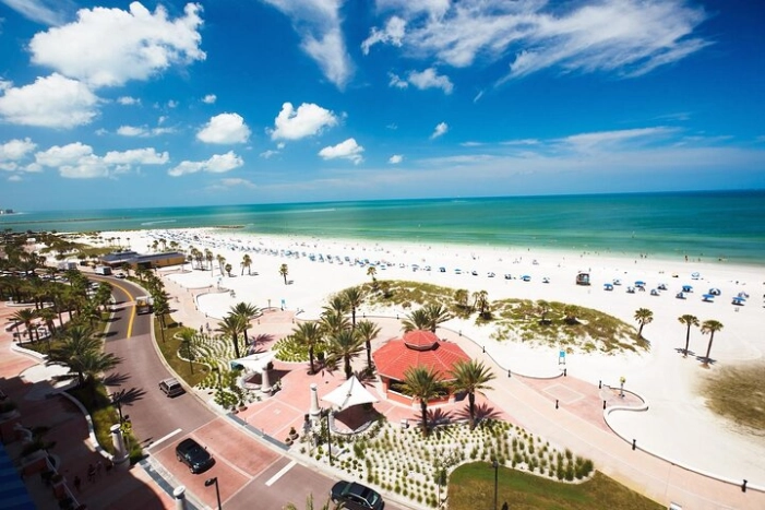 Small Group Clearwater Beach, Dolphin Watch Day Tour from Orlando