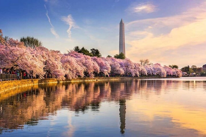 Washington D.C. Cherry Blossom,Baltimore 3-Day Tour from Boston