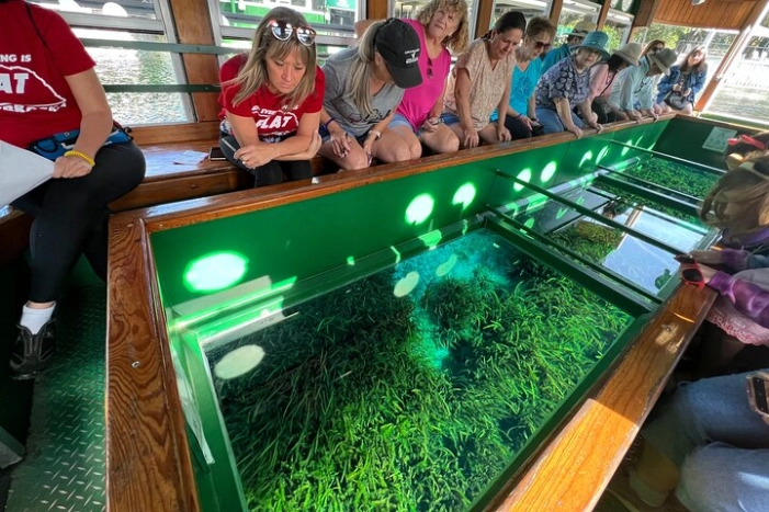 Small Group Silver Springs State Park 1-Day Tour from Orlando