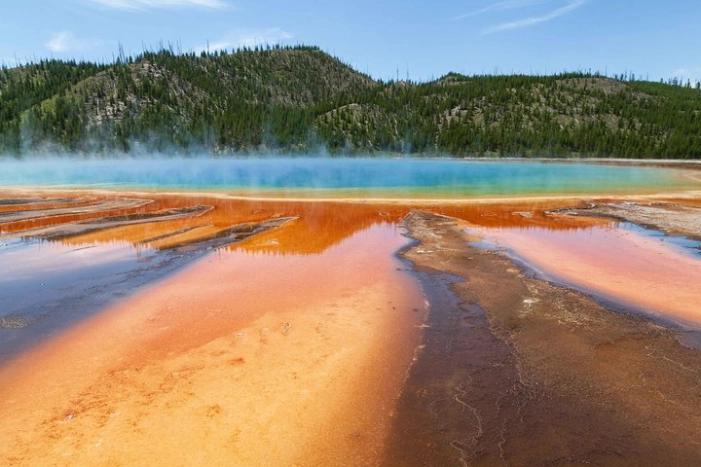 Best of Yellowstone - Guided National Park Safari Tour