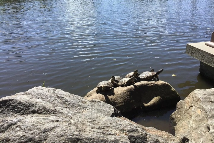 Image 9
