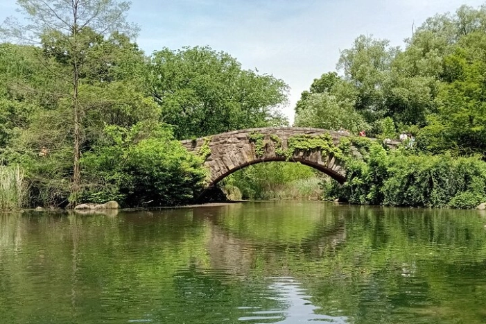 Image 10