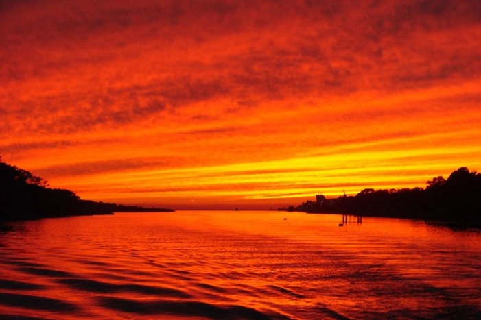 Dinner Cruise with Dolphin Watching from Cape May
