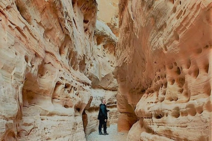 Image 12